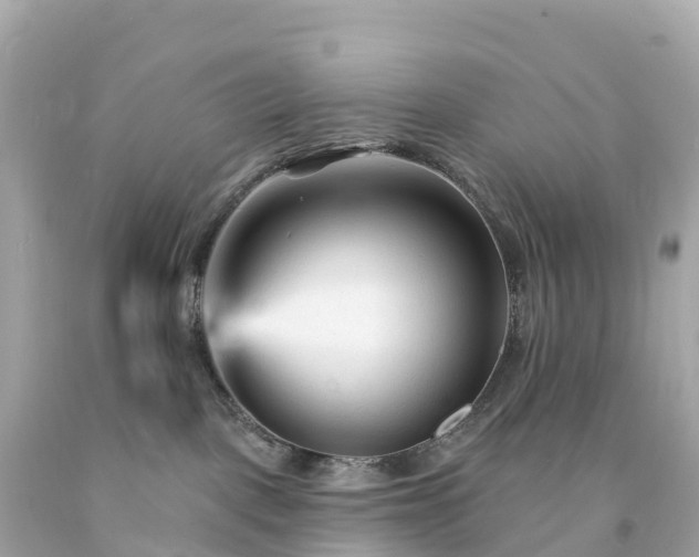 X0000094230093200711021213