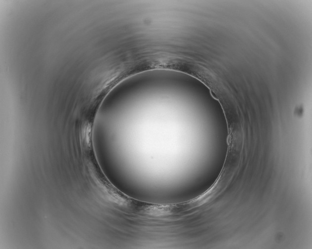 X0000094230094200711021213