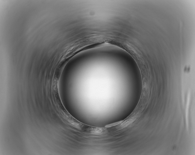 X0000094230096200711021213