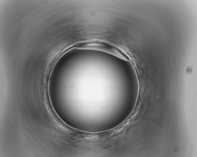 X0000094230097200711021213