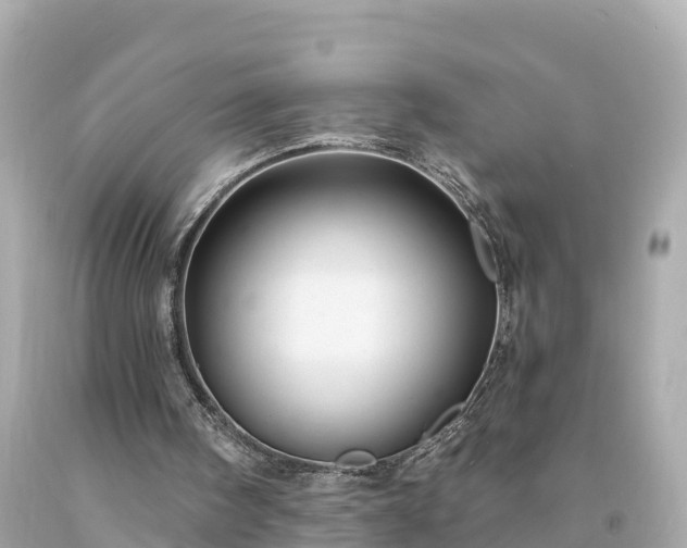 X0000094230098200711021213