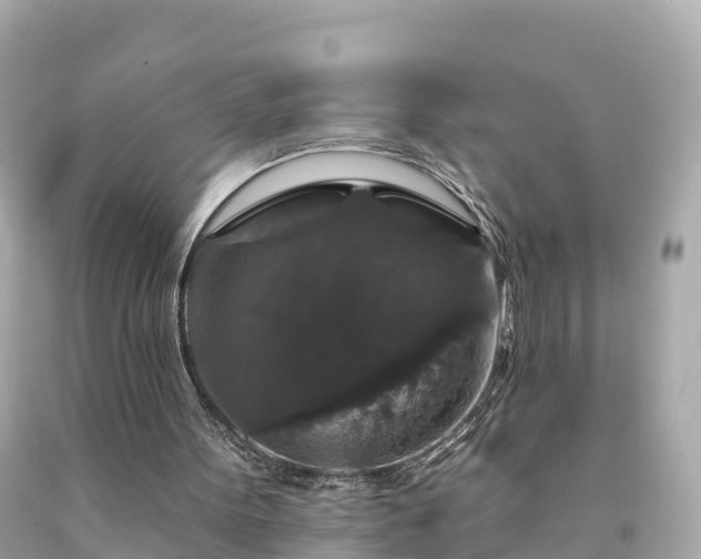 X0000094230099200711021213