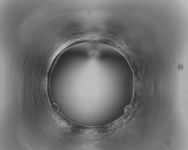 X0000094230100200711021213