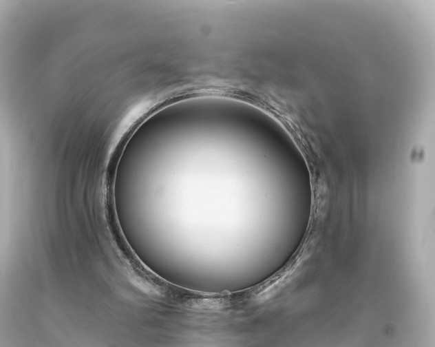 X0000094230102200711021212