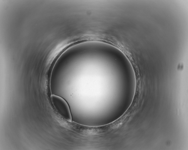 X0000094230103200711021212