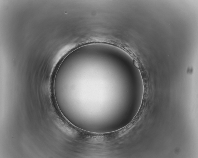 X0000094230104200711021212