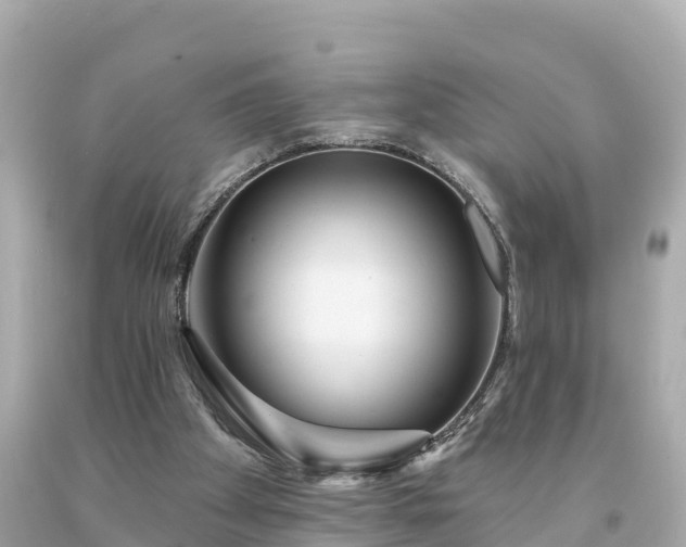 X0000094230105200711021212