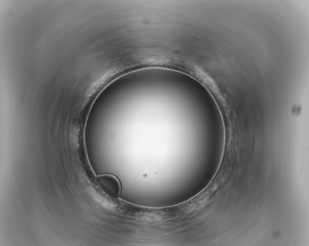 X0000094230106200711021212