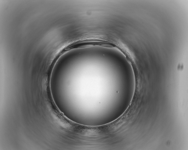 X0000094230107200711021212