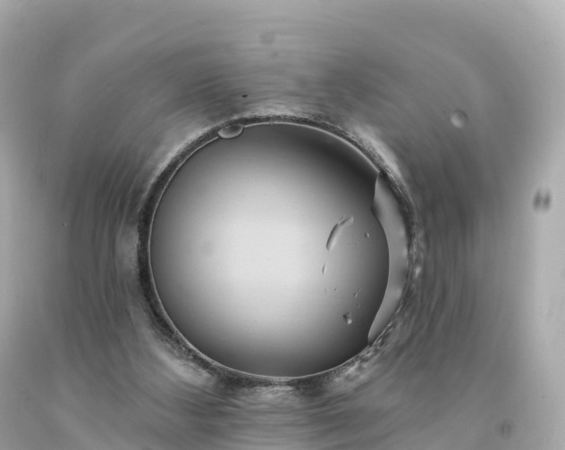 X0000094230108200711021212