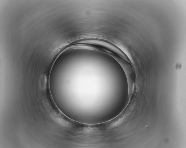 X0000094230109200711021212