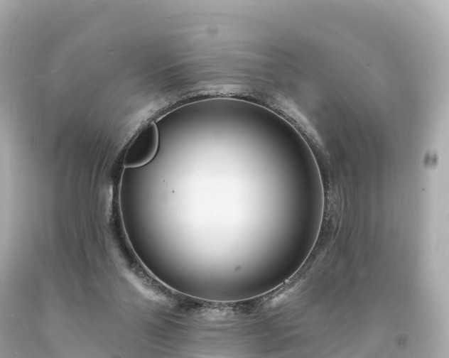 X0000094230110200711021212