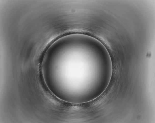 X0000094230111200711021212