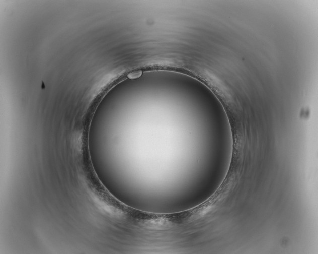 X0000094230112200711021212