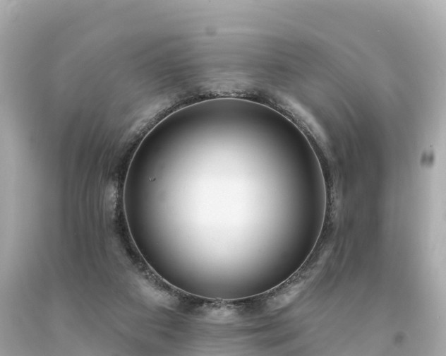 X0000094230113200711021212