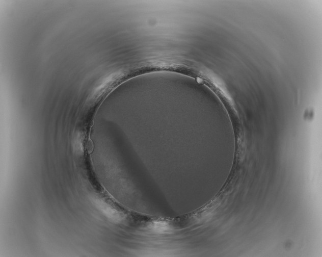 X0000094230114200711021212