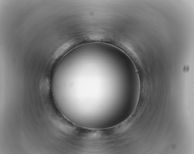 X0000094230116200711021212