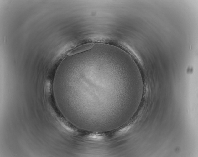 X0000094230117200711021212