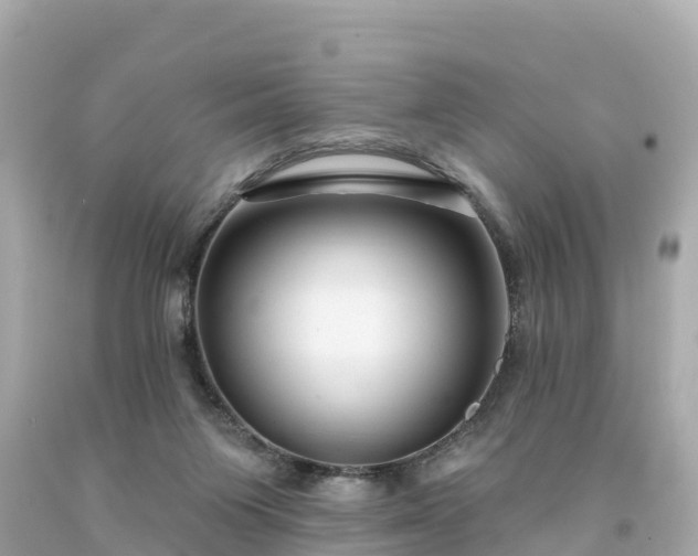 X0000094230119200711021212