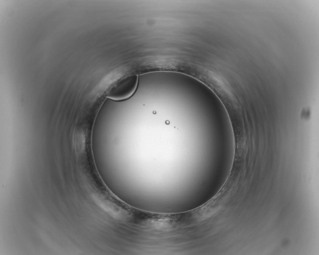 X0000094230120200711021212