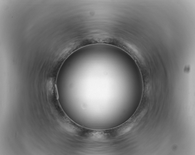 X0000094230121200711021212