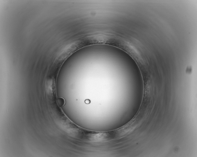 X0000094230122200711021212