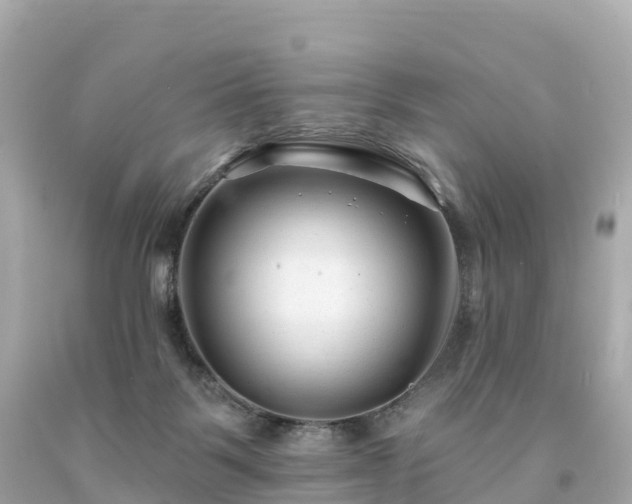 X0000094230123200711021212