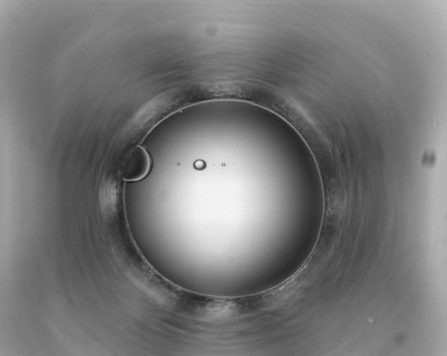 X0000094230124200711021212