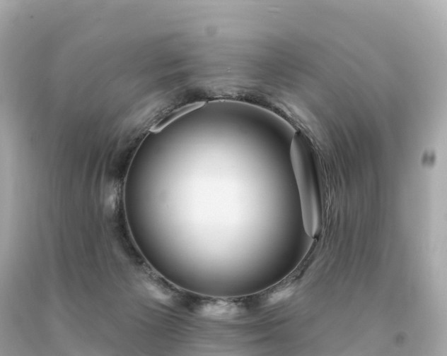 X0000094230125200711021212