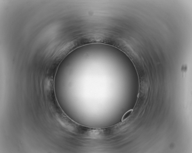 X0000094230126200711021212