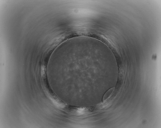 X0000094230130200711021212