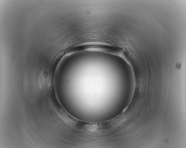 X0000094230131200711021212