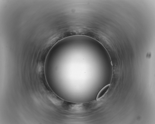 X0000094230132200711021212