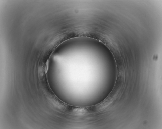 X0000094230133200711021212