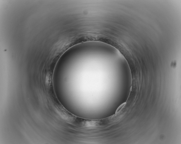 X0000094230134200711021212