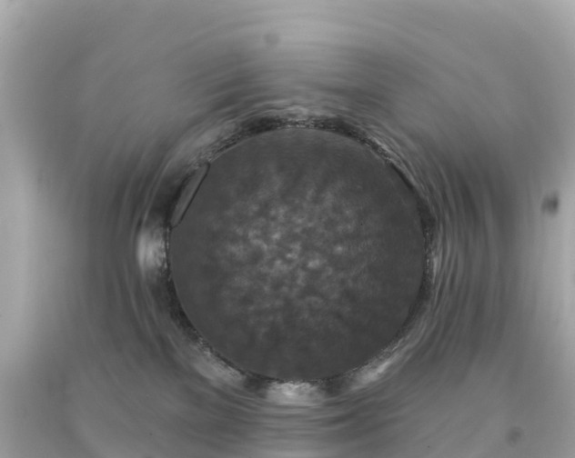 X0000094230137200711021212