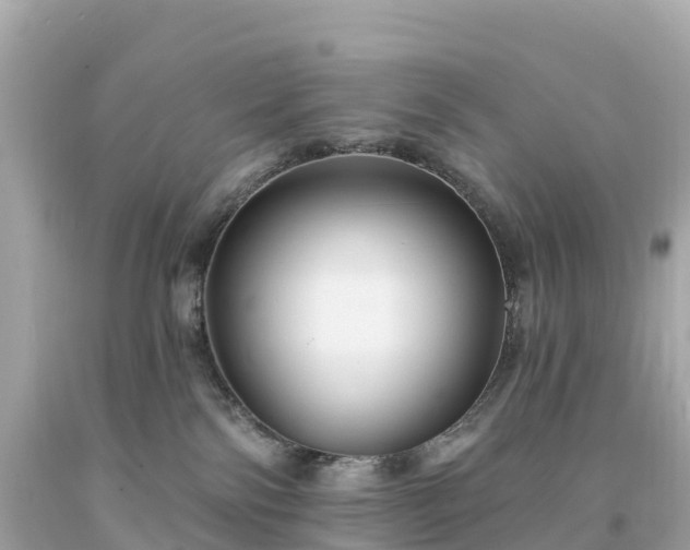 X0000094230138200711021212