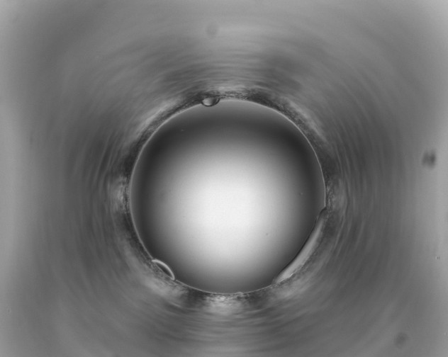 X0000094230141200711021212