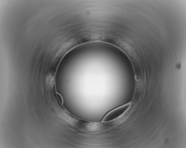 X0000094230142200711021212