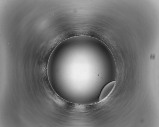 X0000094230144200711021212