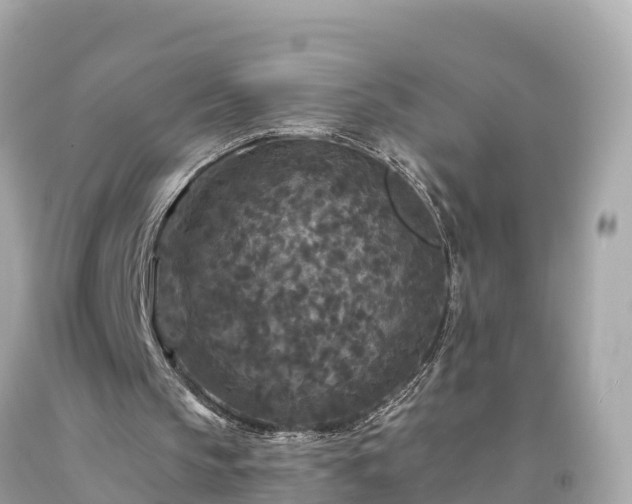 X0000094230145200711021211