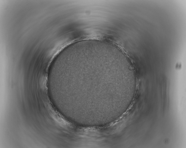 X0000094230146200711021211