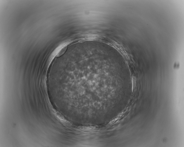 X0000094230147200711021211