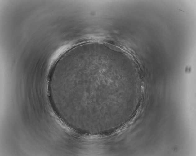 X0000094230149200711021211