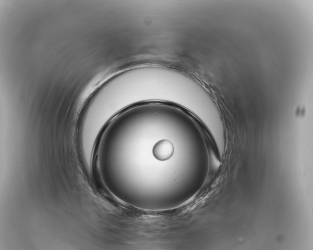 X0000094230150200711021211