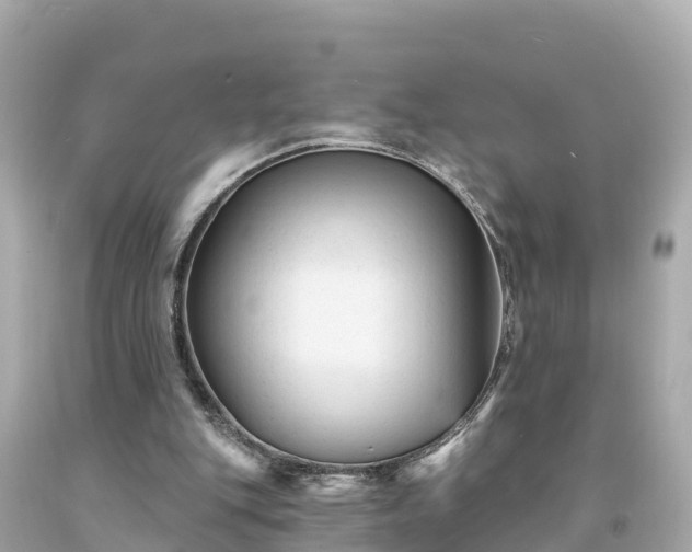 X0000094230151200711021211