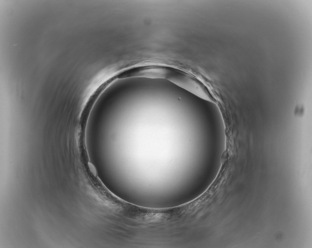 X0000094230152200711021211