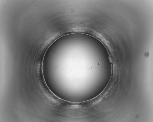 X0000094230153200711021211