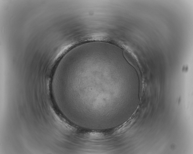 X0000094230154200711021211