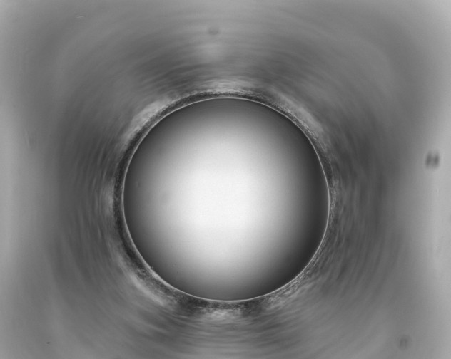 X0000094230155200711021211